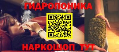 ПСИЛОЦИБИНОВЫЕ ГРИБЫ Гусь-Хрустальный