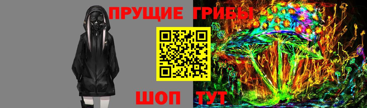 Галлюциногенные грибы Cubensis Ликино-Дулёво