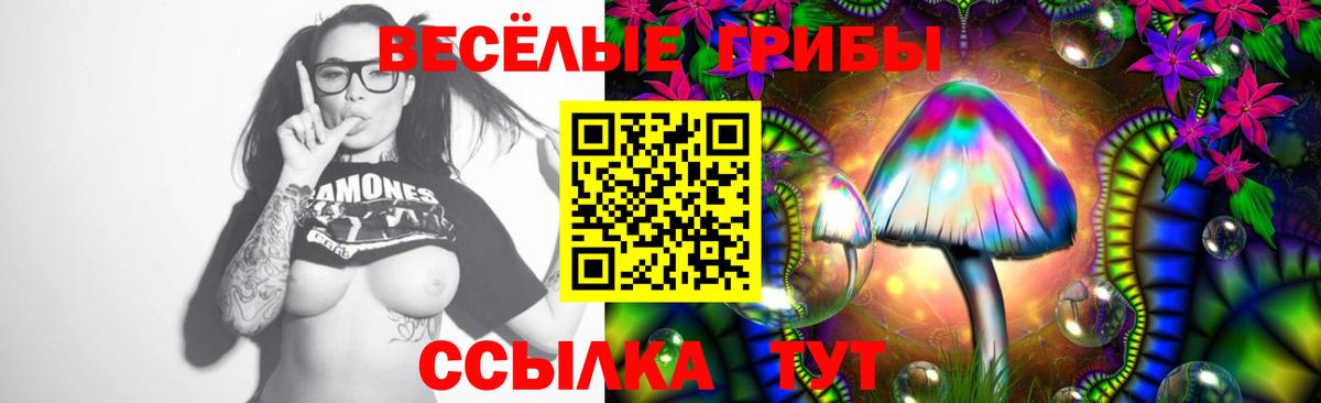 Псилоцибиновые грибы MAGIC MUSHROOMS  Вход с VPN  Ликино-Дулёво  Галлюциногенные грибы MAGIC MUSHROOMS 